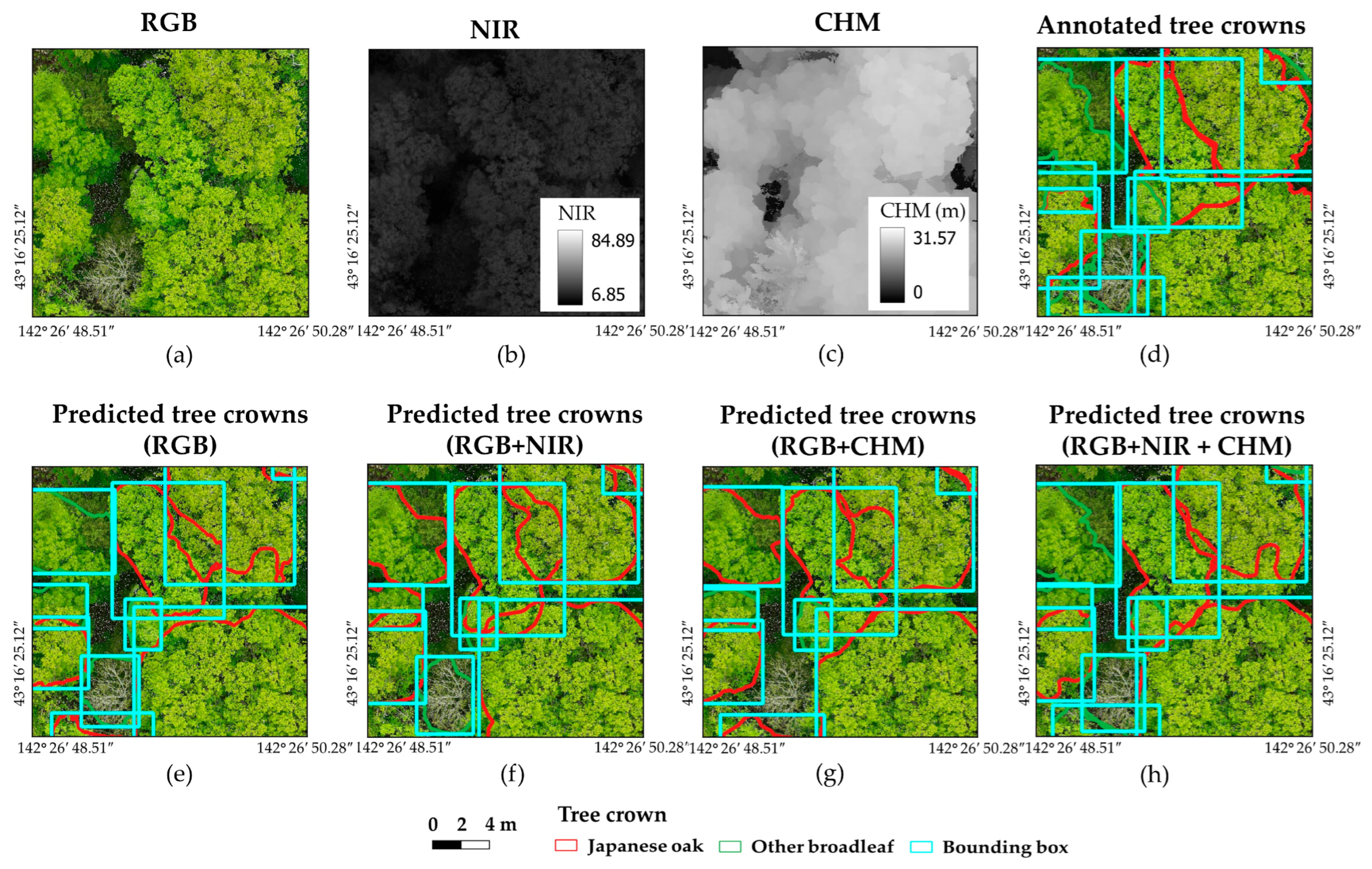 Remotesensing 17 02111 g007
