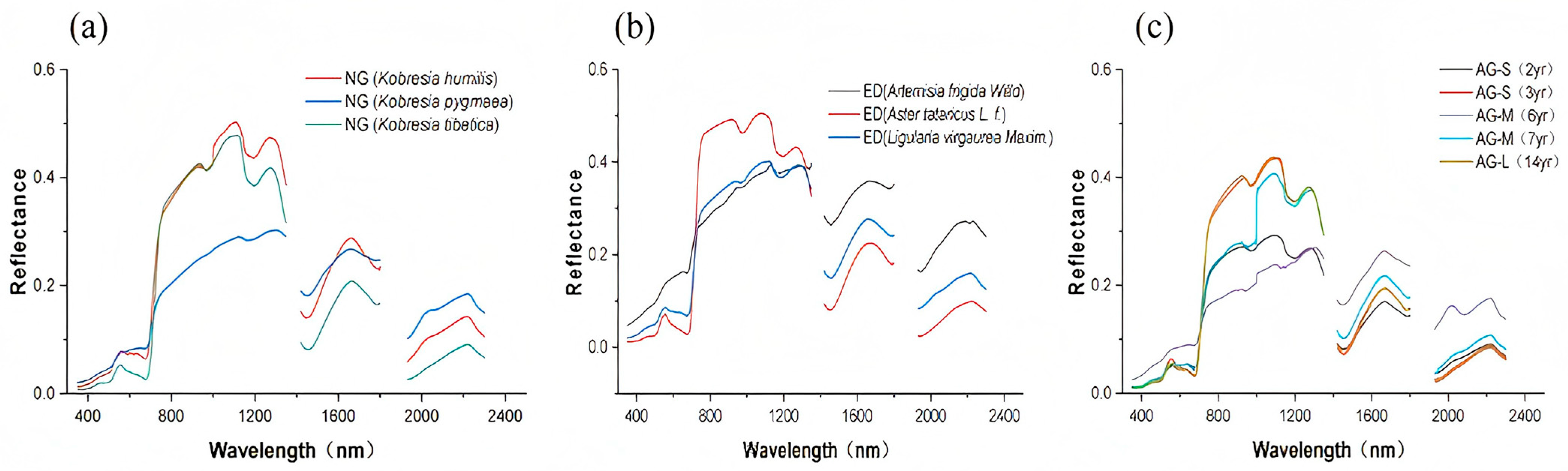 Remotesensing 17 02114 g004