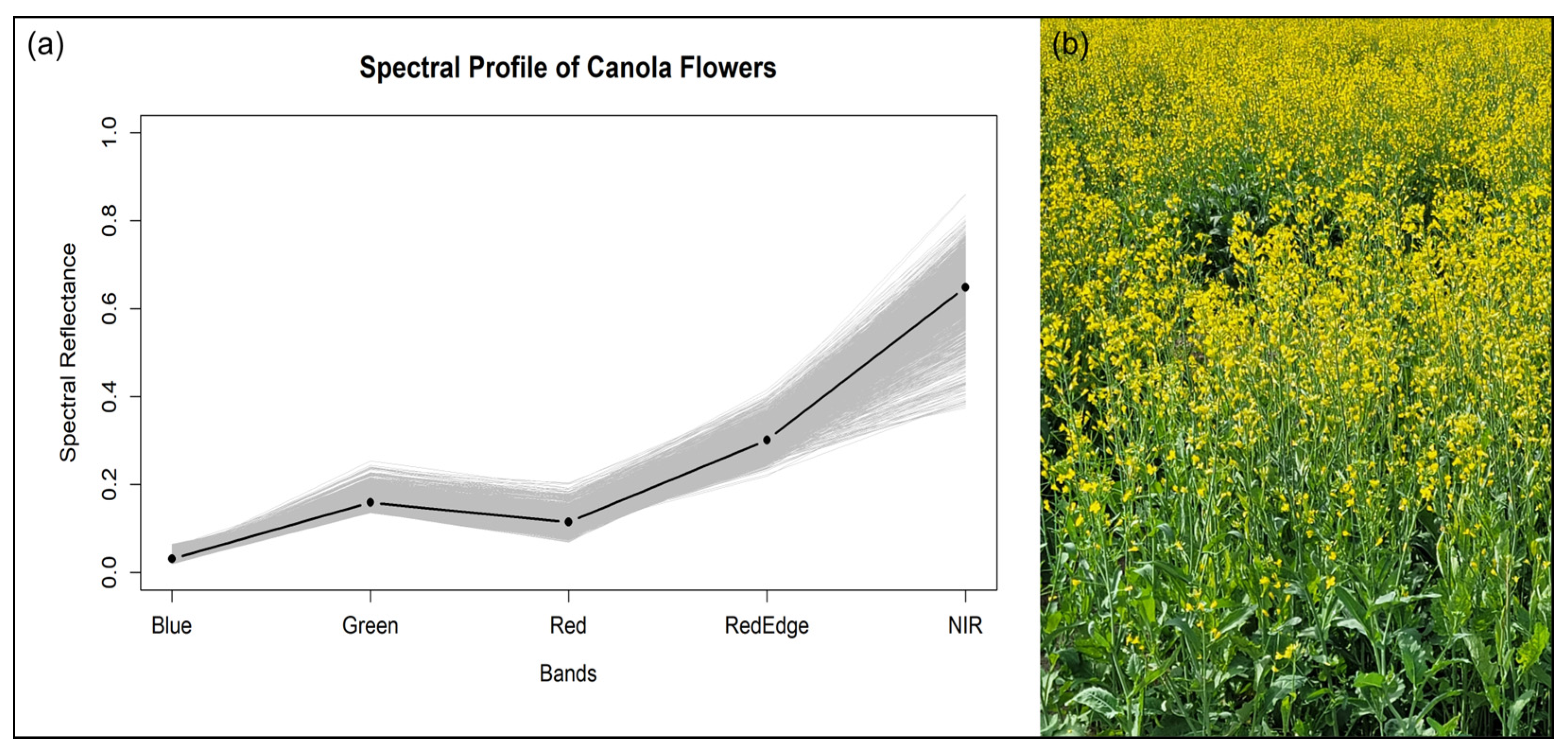 Remotesensing 17 02127 g003