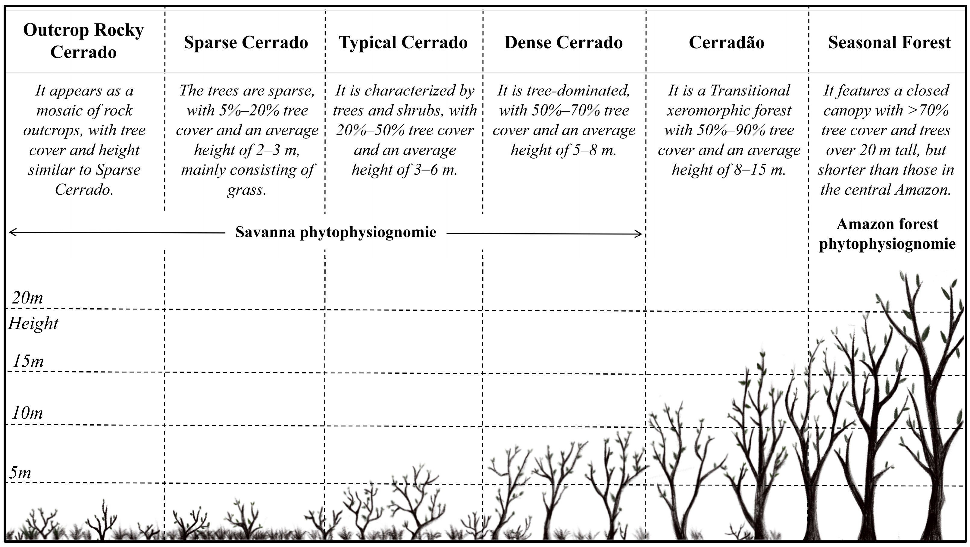 Remotesensing 17 02138 g002