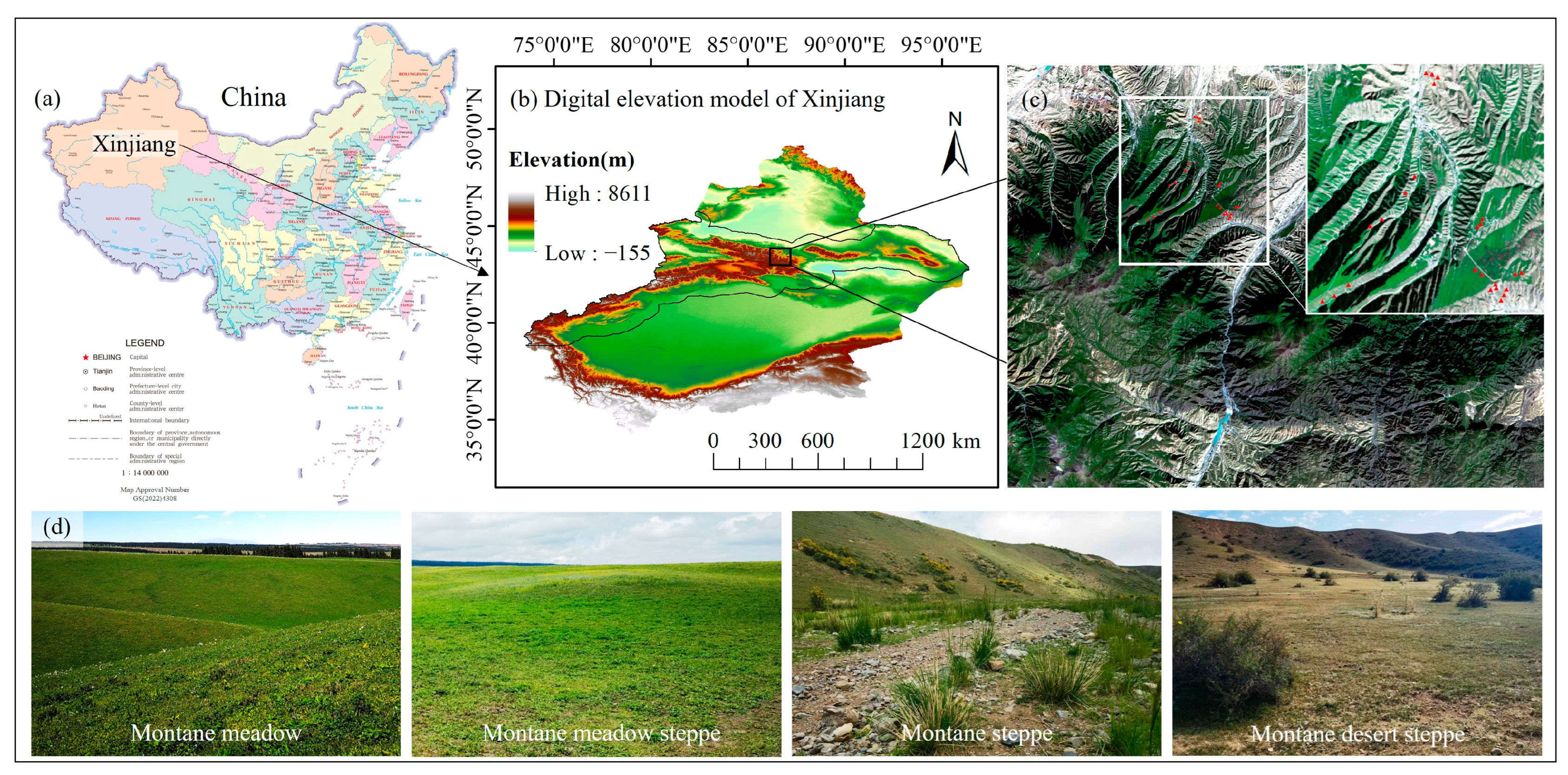 Remotesensing 17 02149 g001