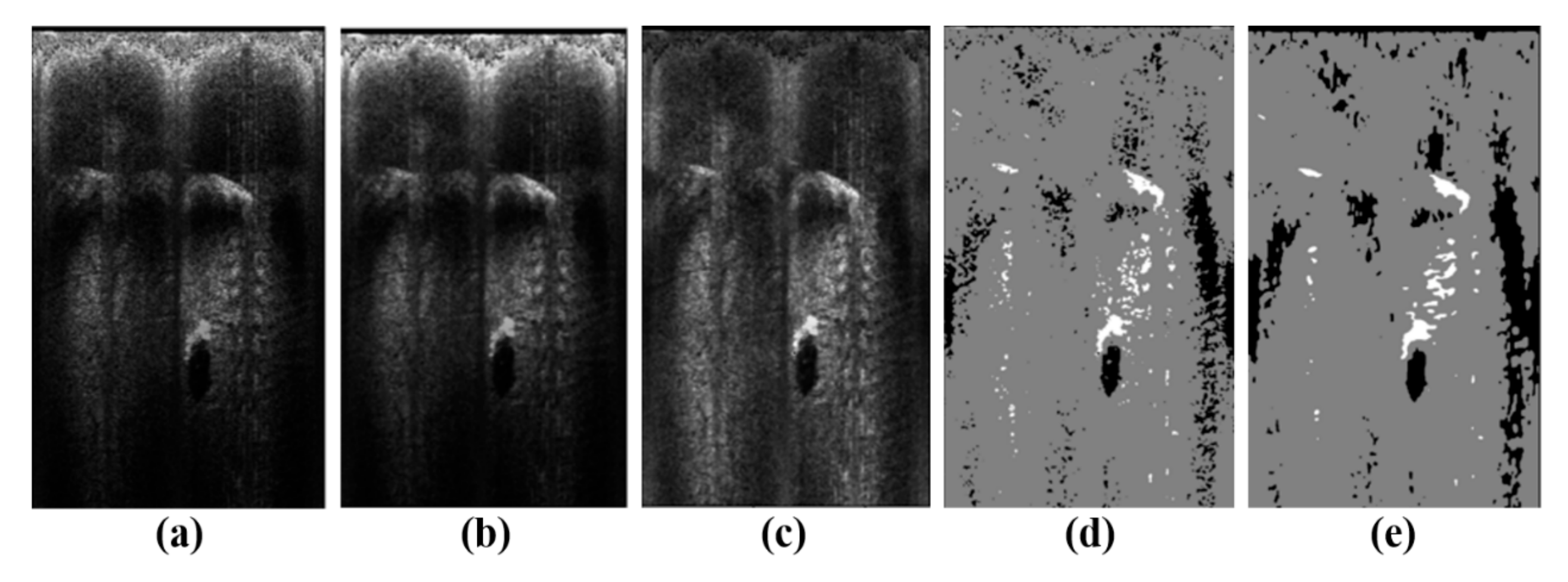 Remotesensing 17 02166 g004
