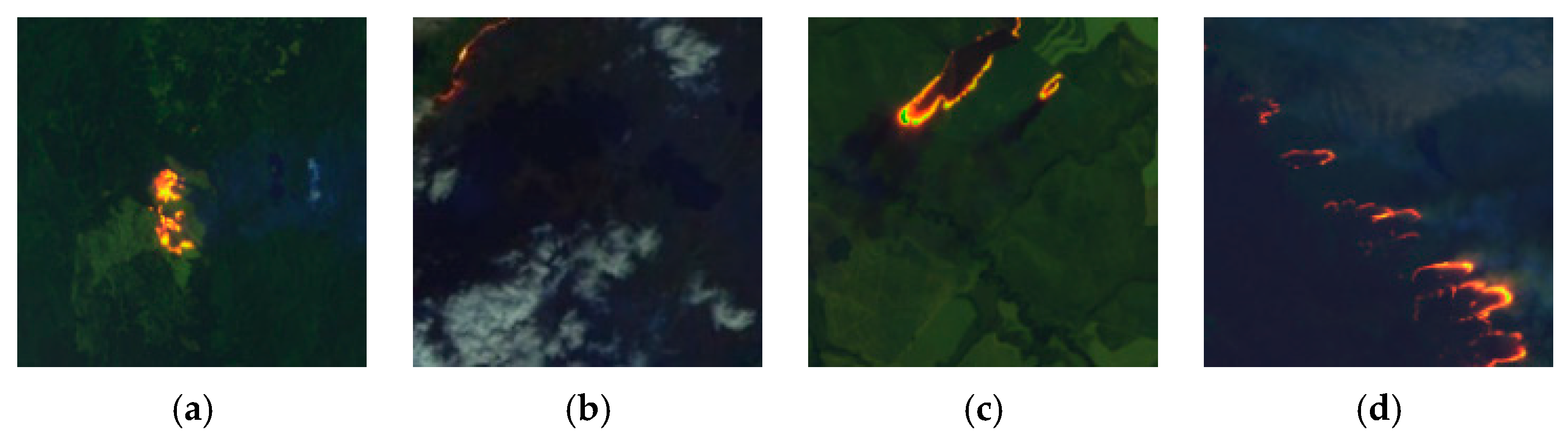 Remotesensing 17 02175 g012