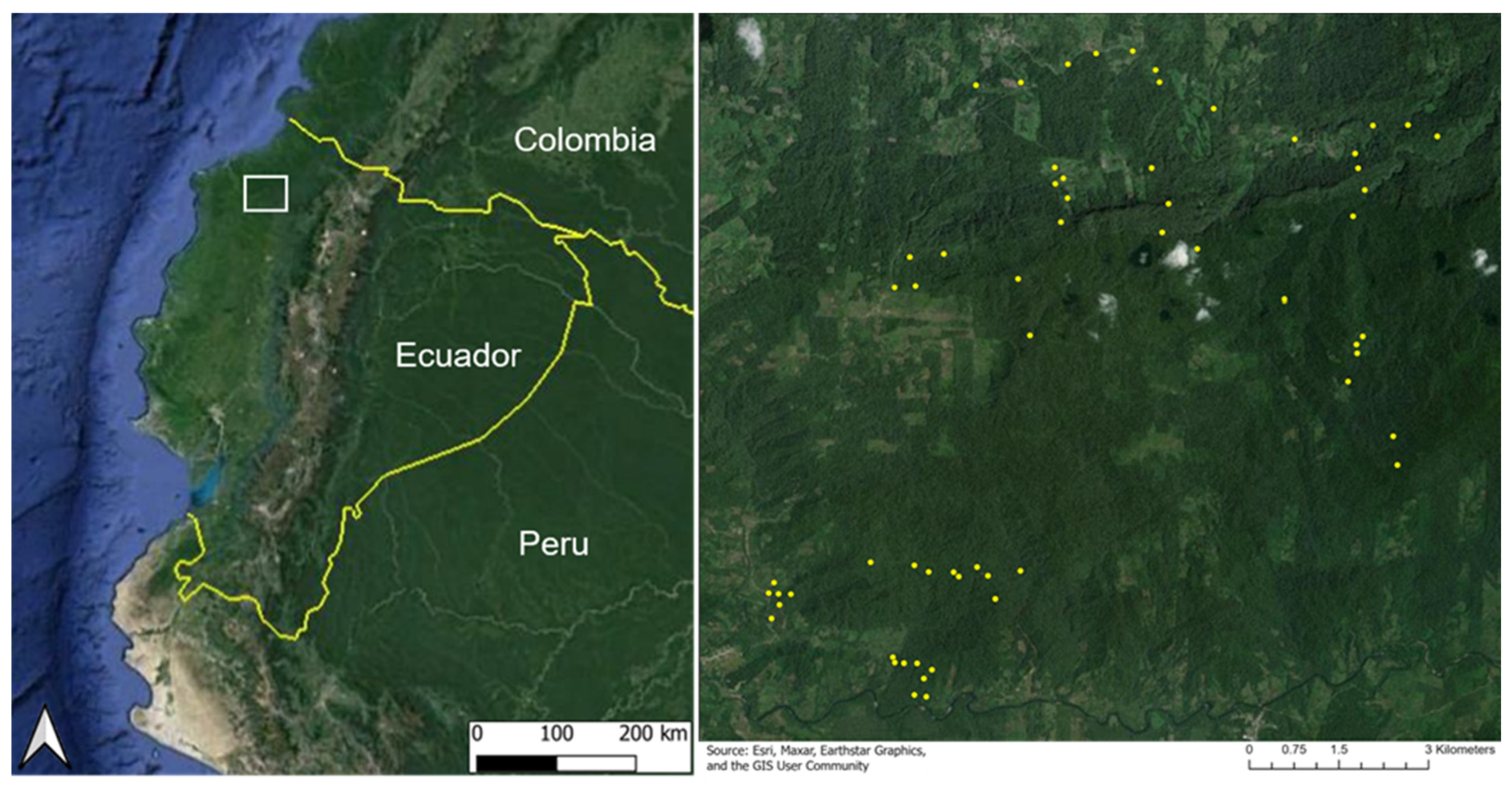 Remotesensing 17 02188 g001