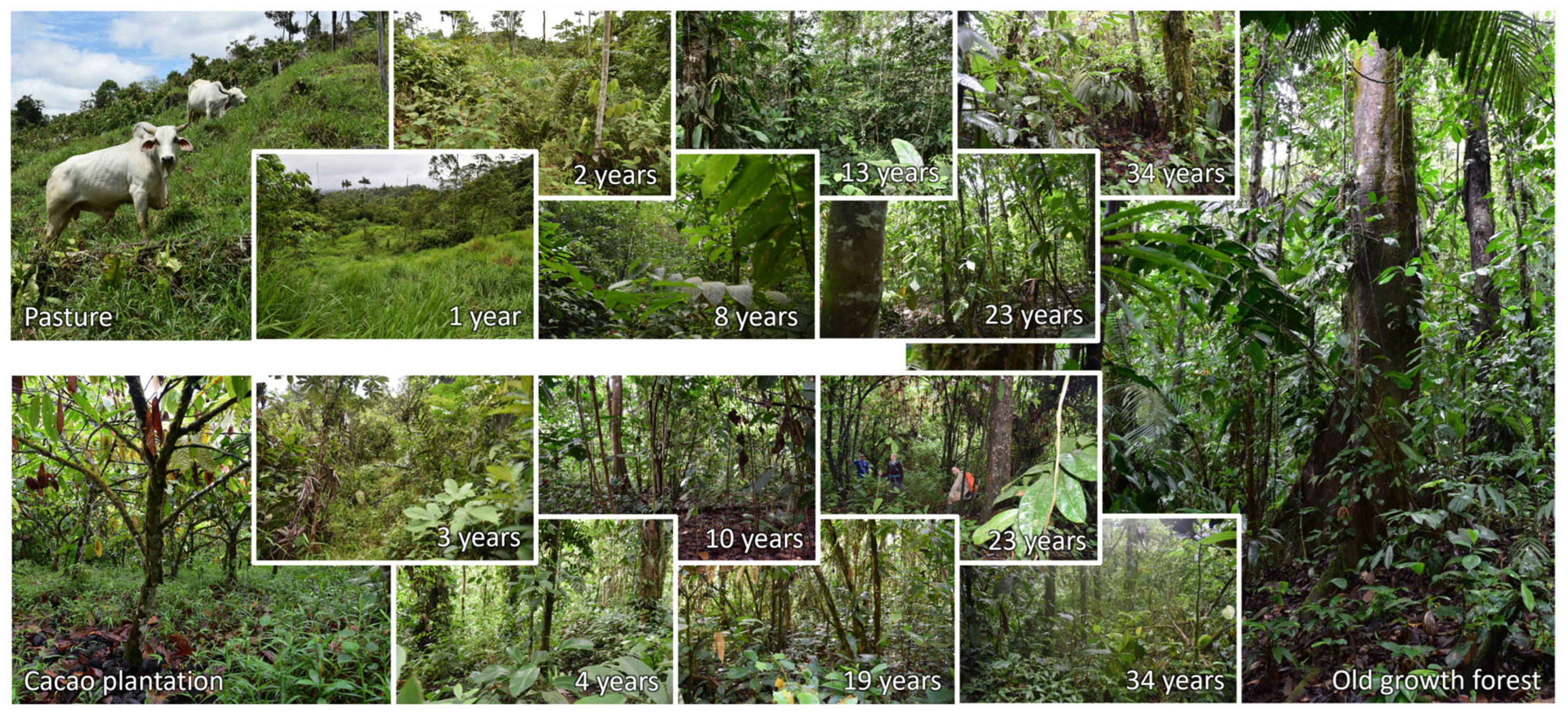 Remotesensing 17 02188 g002