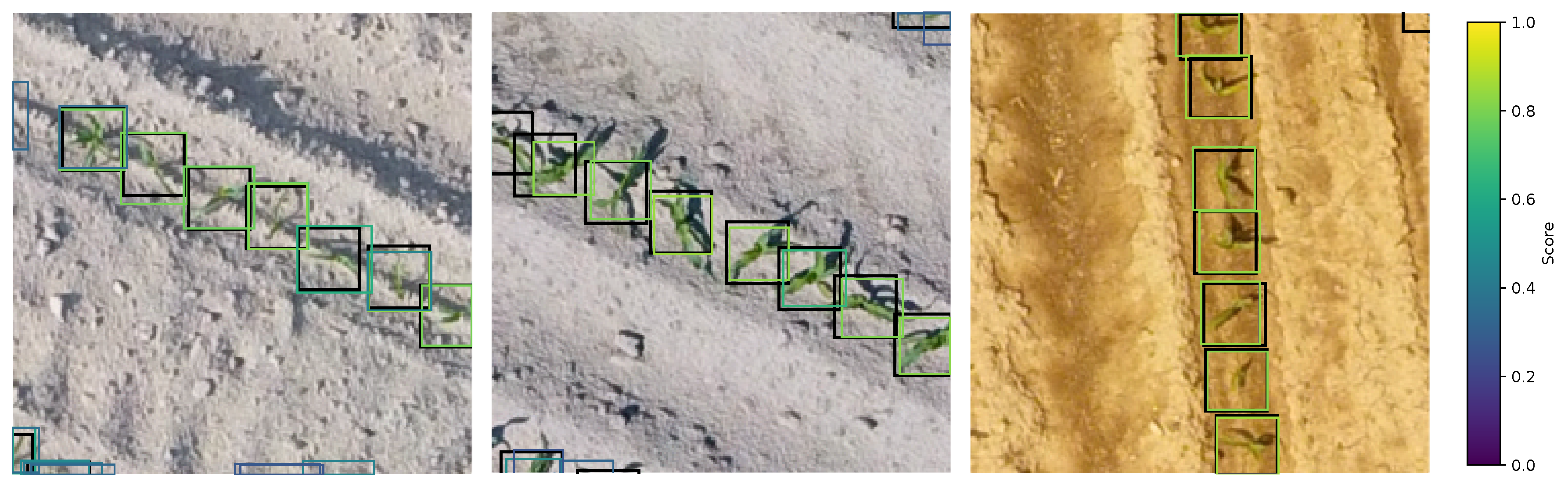 Remotesensing 17 02190 g005