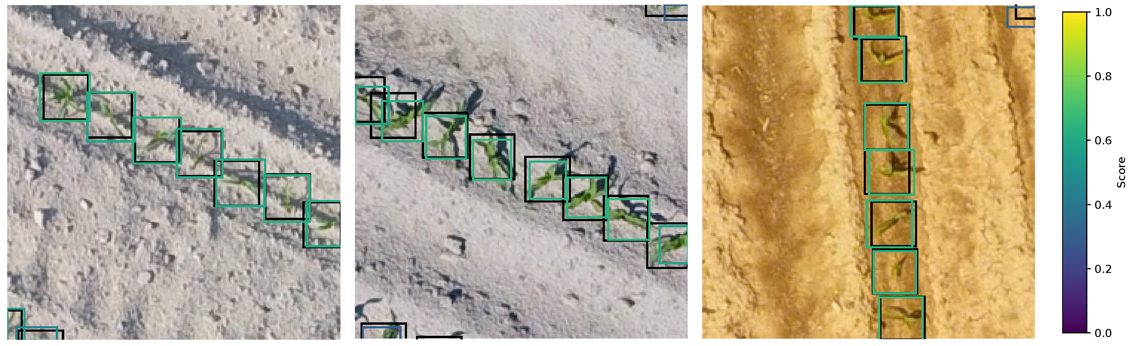 Remotesensing 17 02190 g006