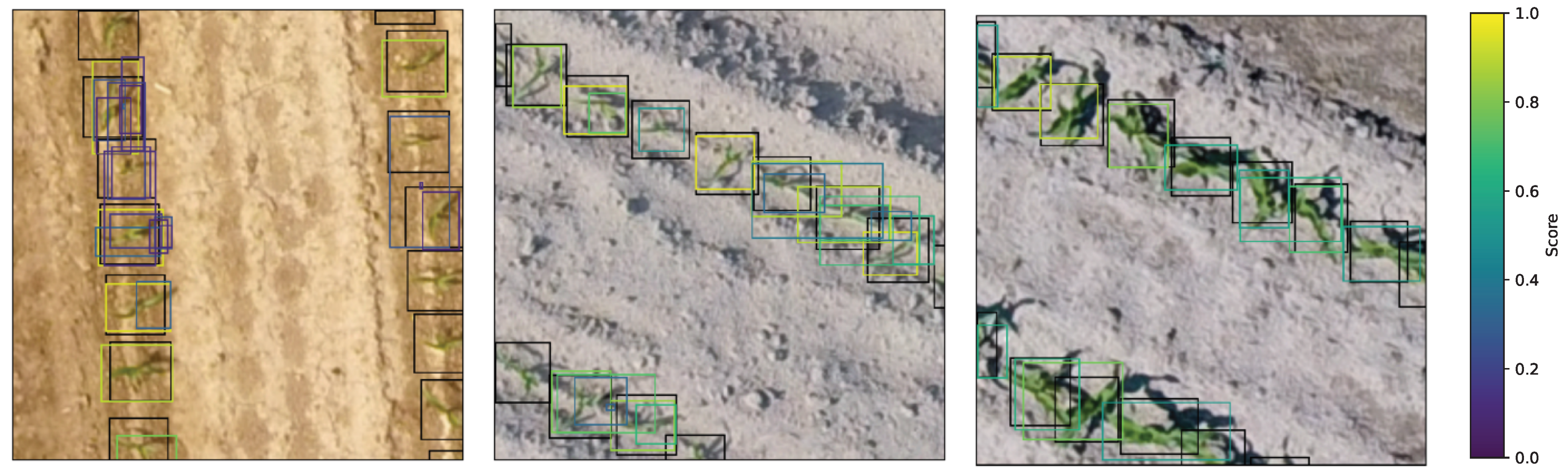 Remotesensing 17 02190 g008