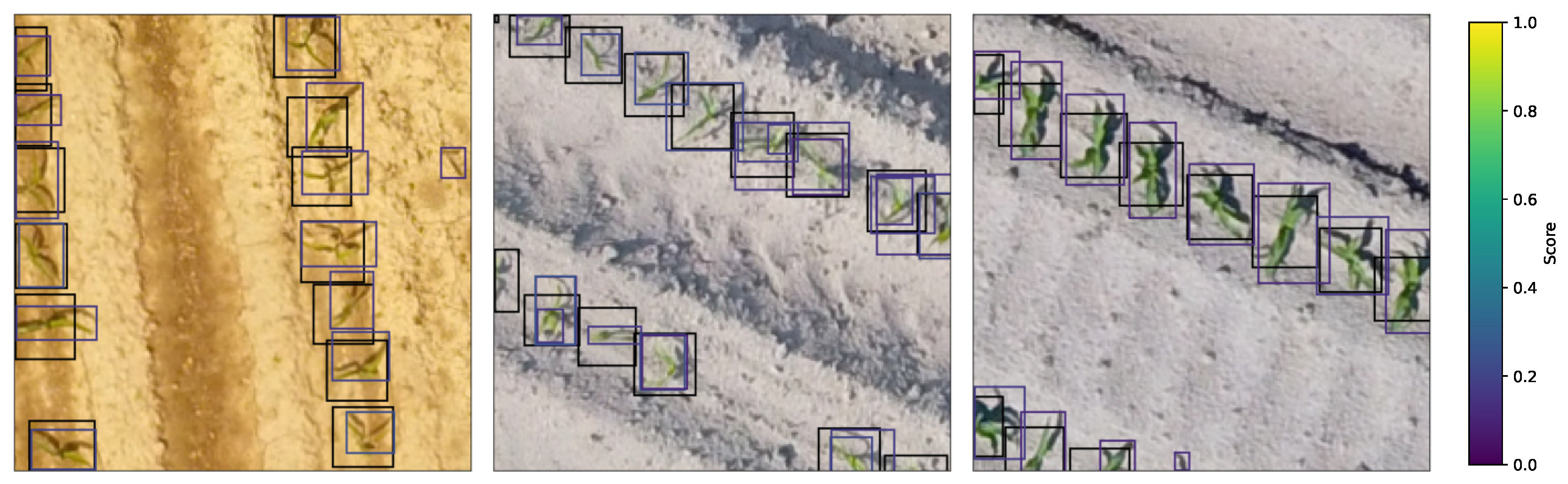 Remotesensing 17 02190 g010