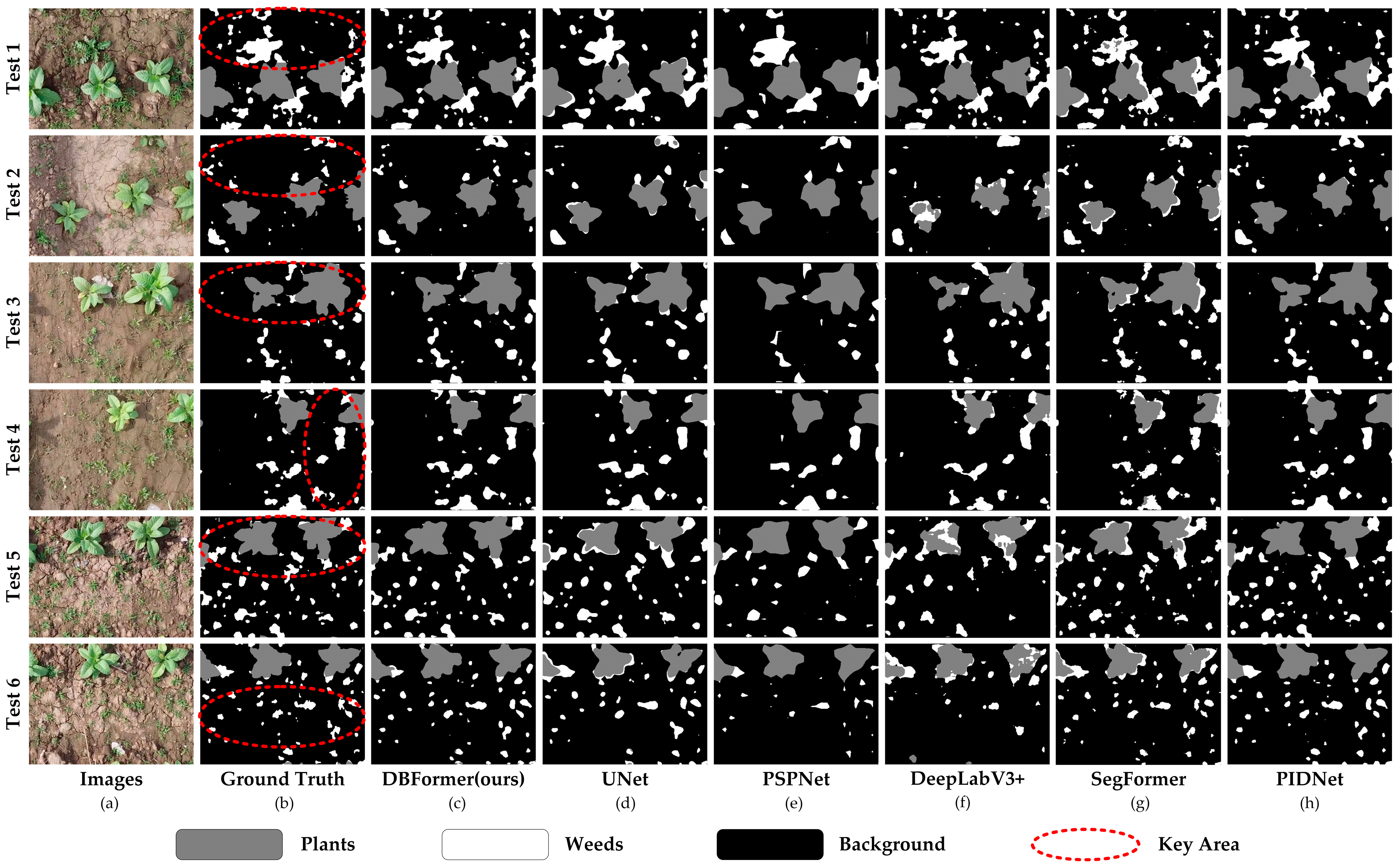 Remotesensing 17 02203 g006
