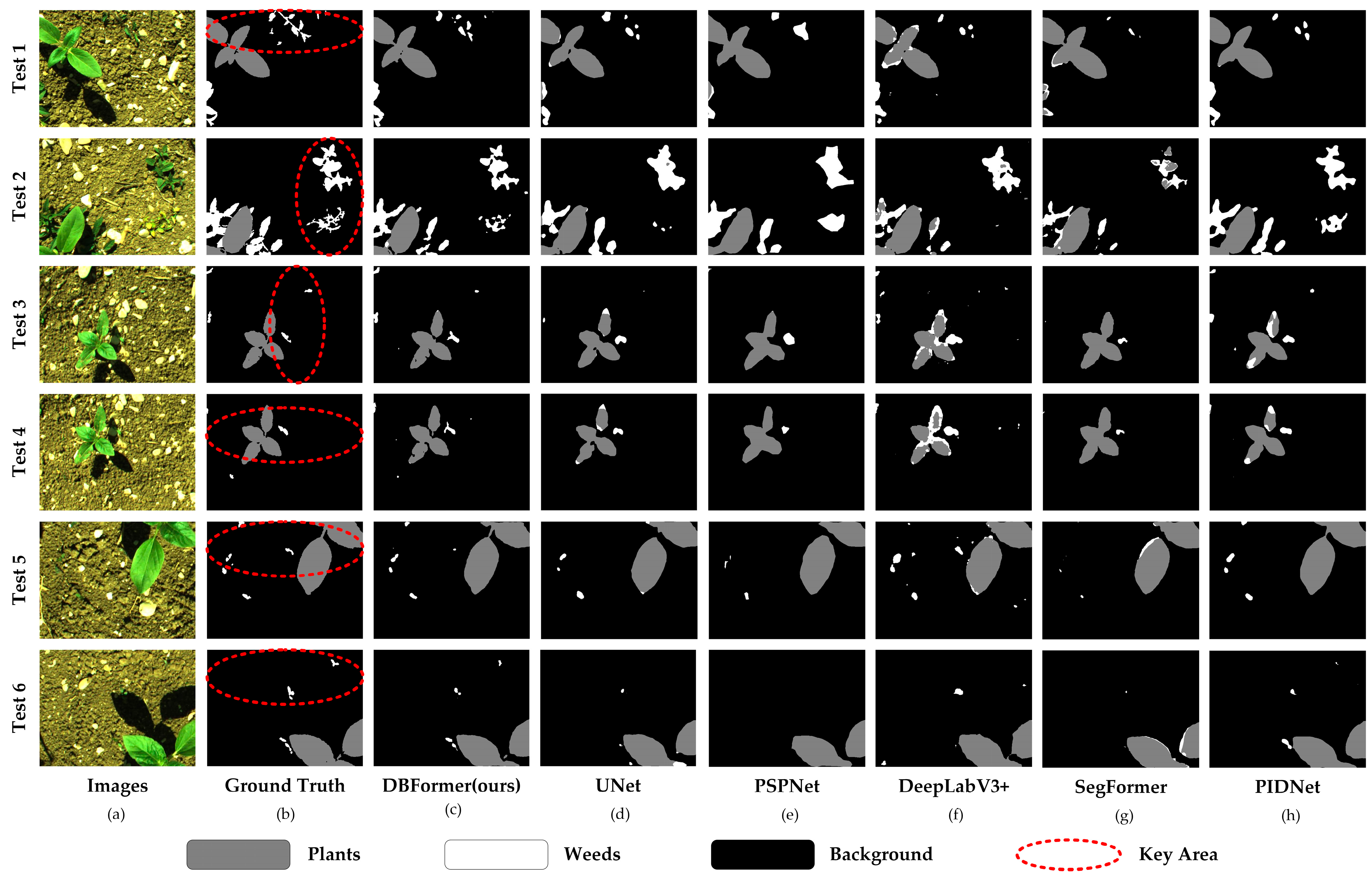 Remotesensing 17 02203 g008