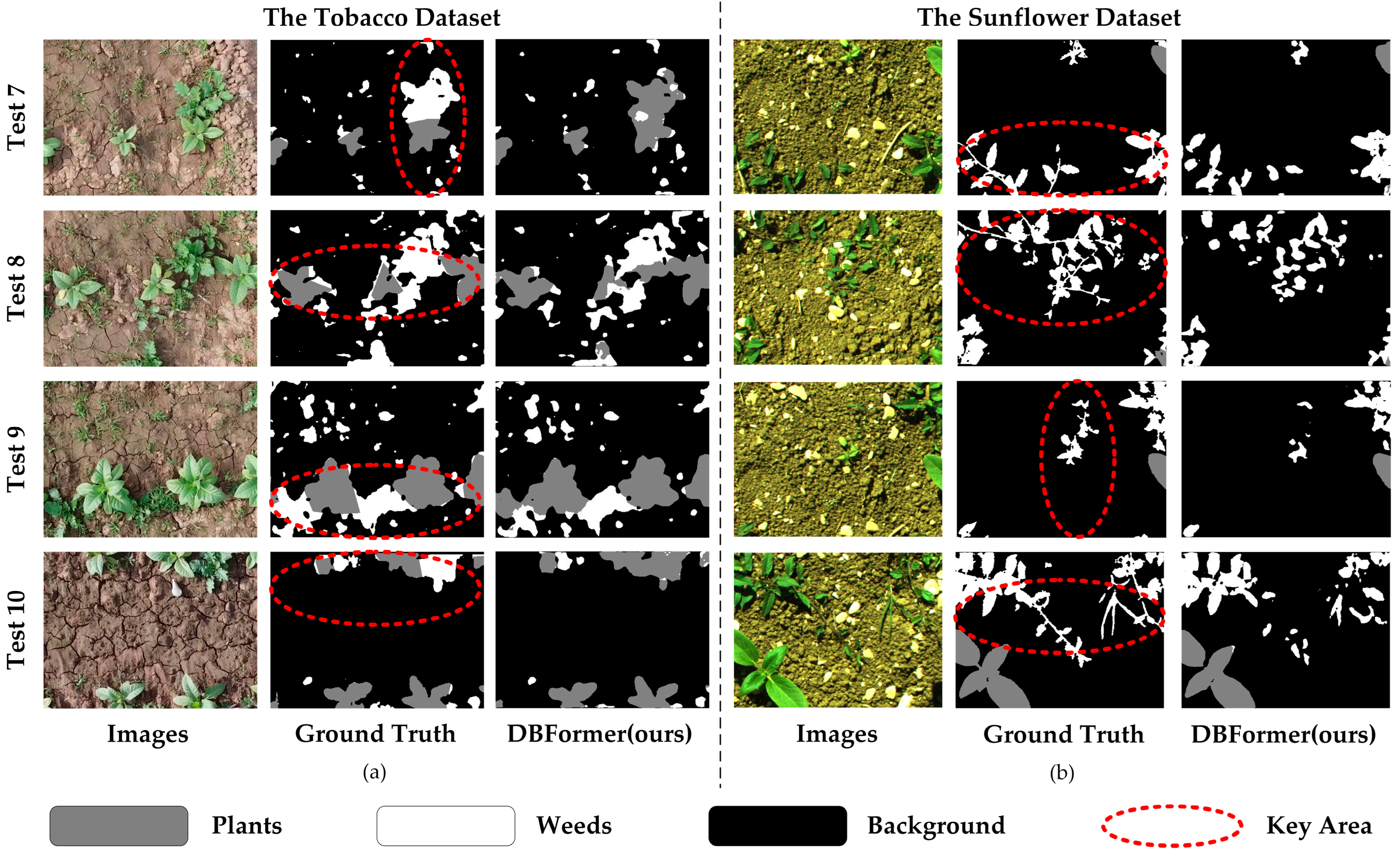 Remotesensing 17 02203 g010