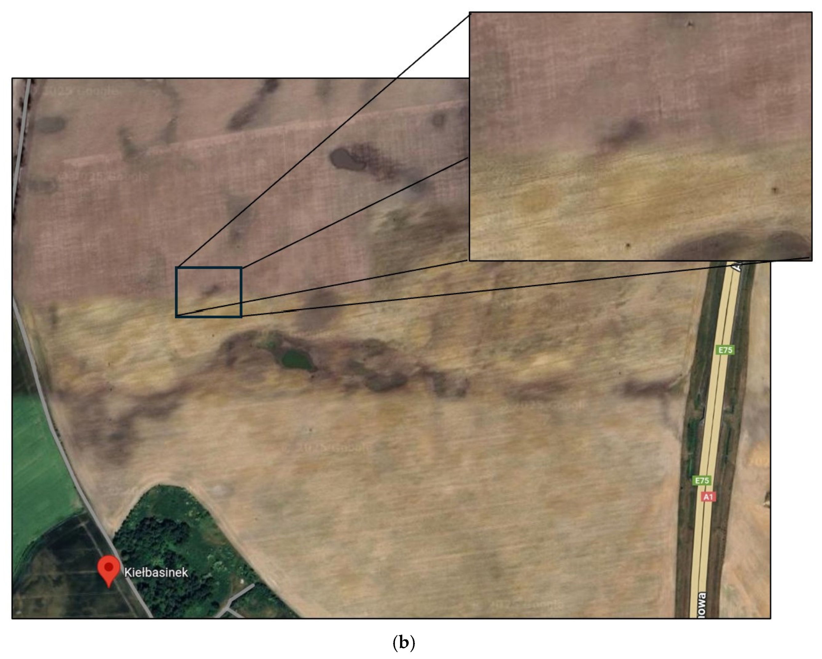 Remotesensing 17 02225 g002b