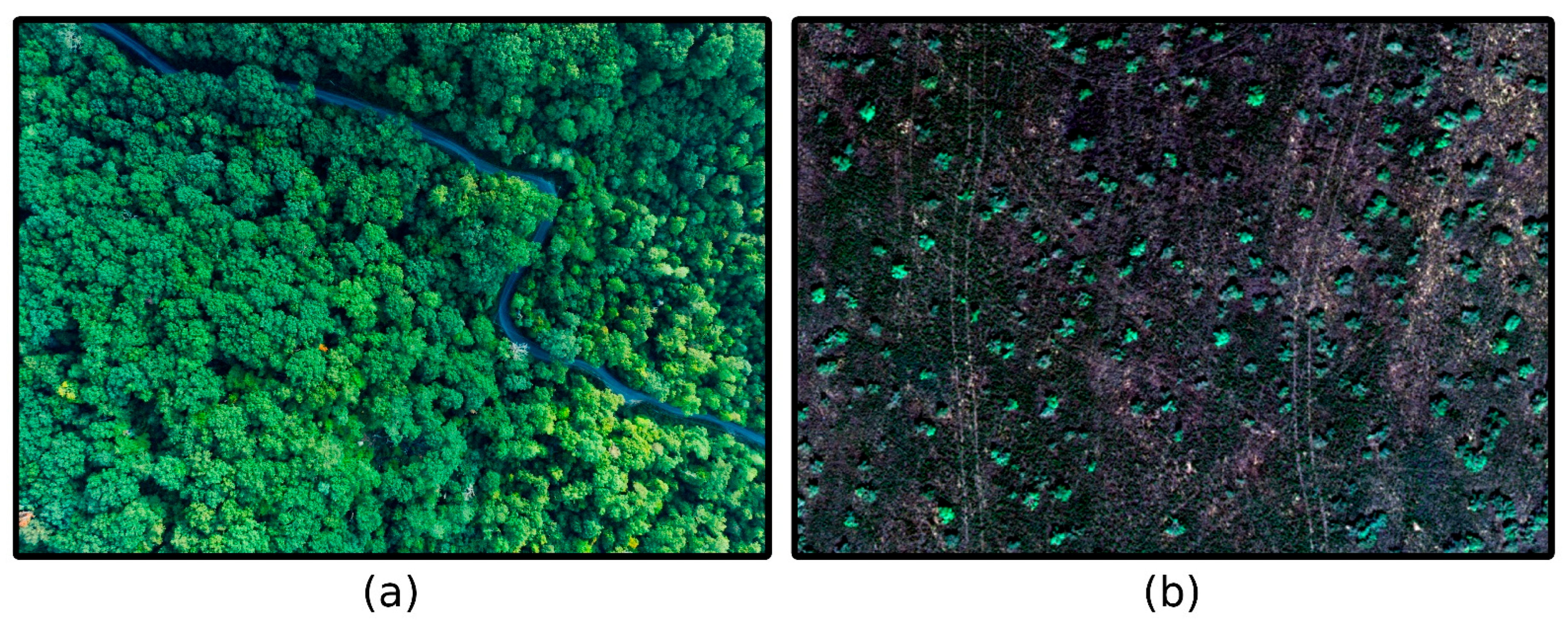 Remotesensing 17 02275 g0a1