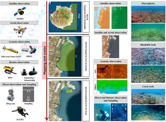 Remotesensing 17 02331 g001