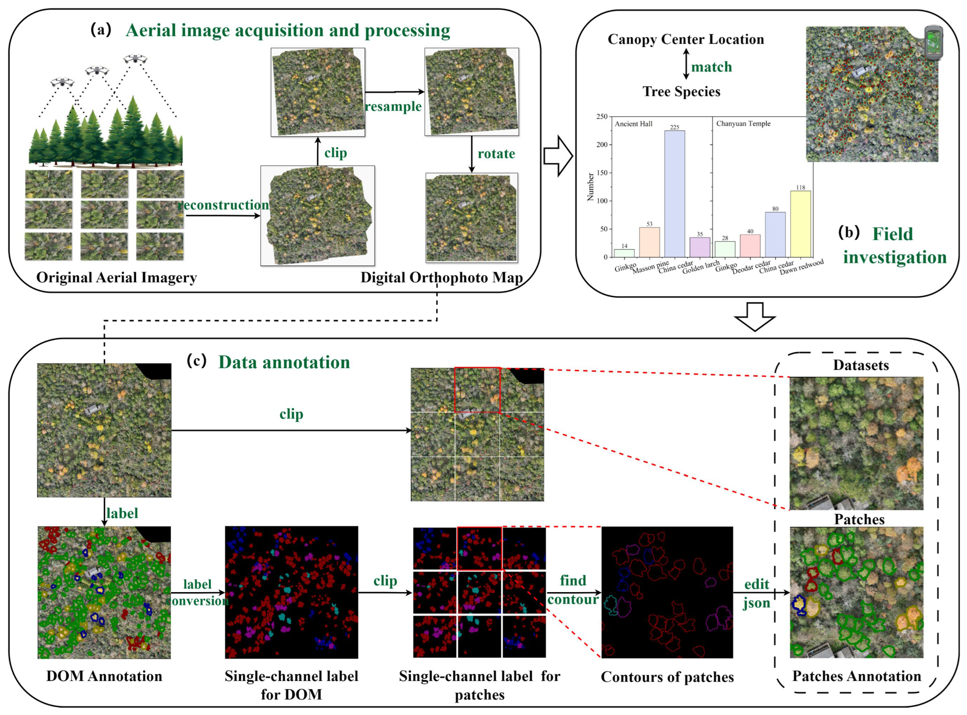 Remotesensing 17 02541 g002 Remotesensing 17 02541 g002
