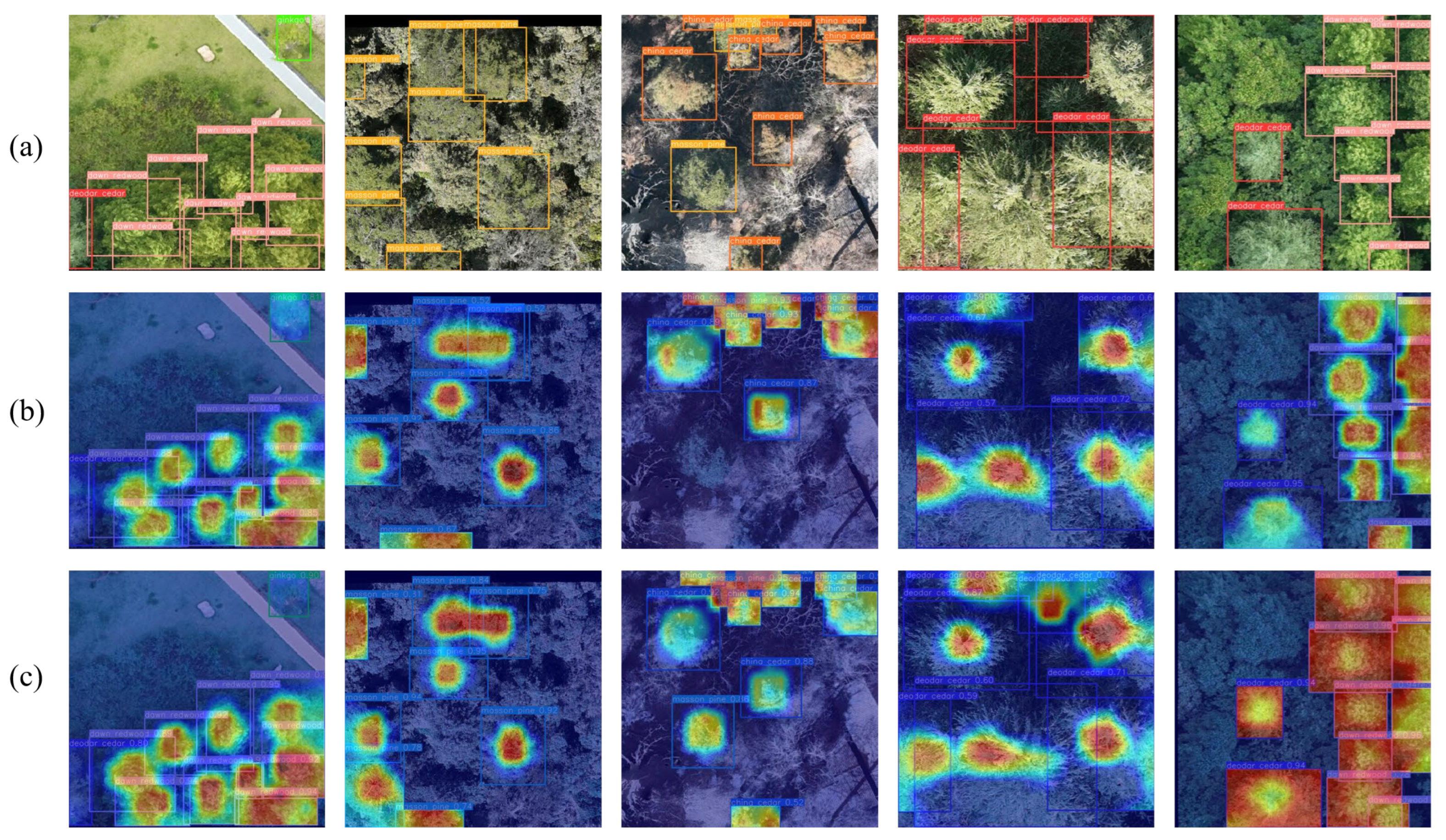 Remotesensing 17 02541 g006 Remotesensing 17 02541 g006