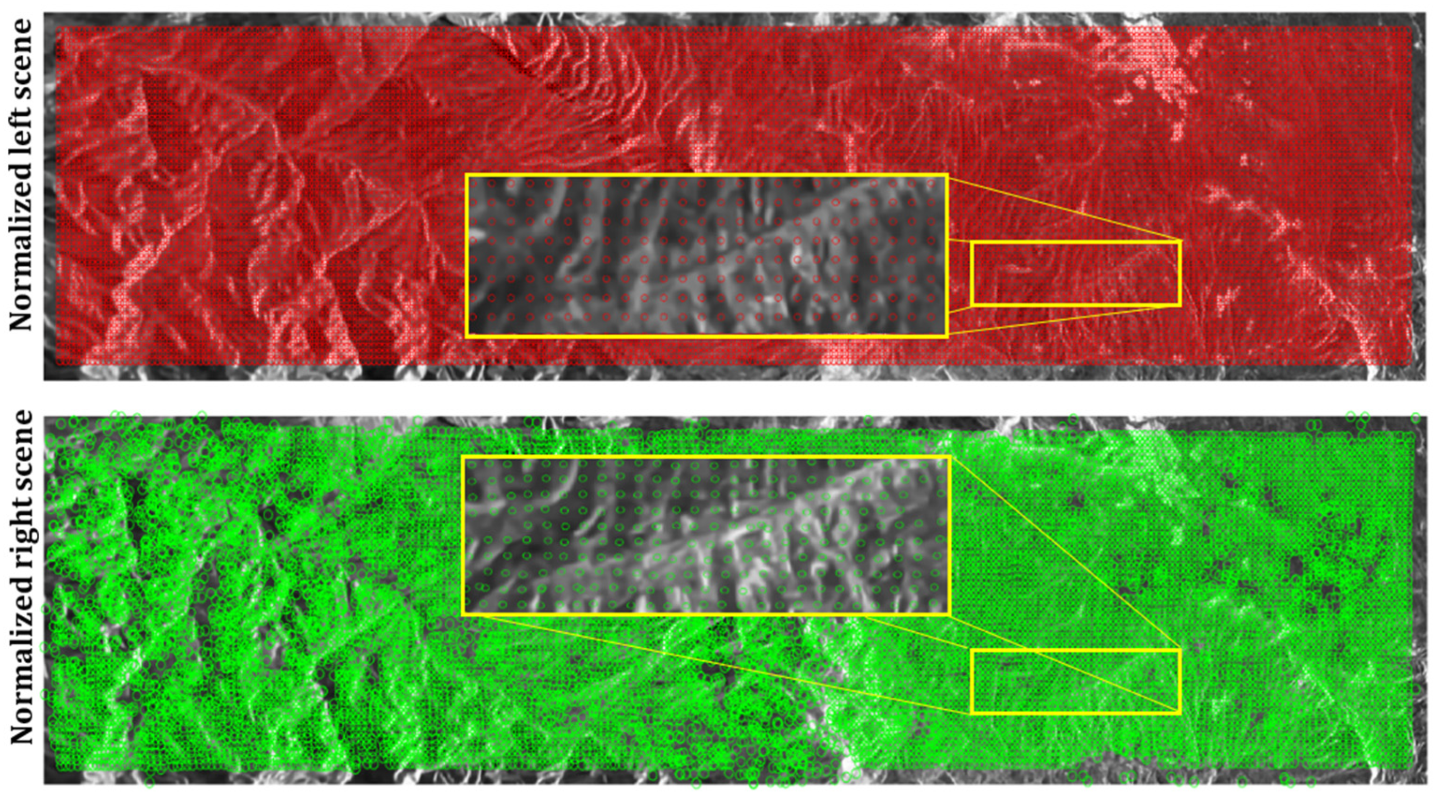 Remotesensing 17 02693 g007 Remotesensing 17 02693 g007