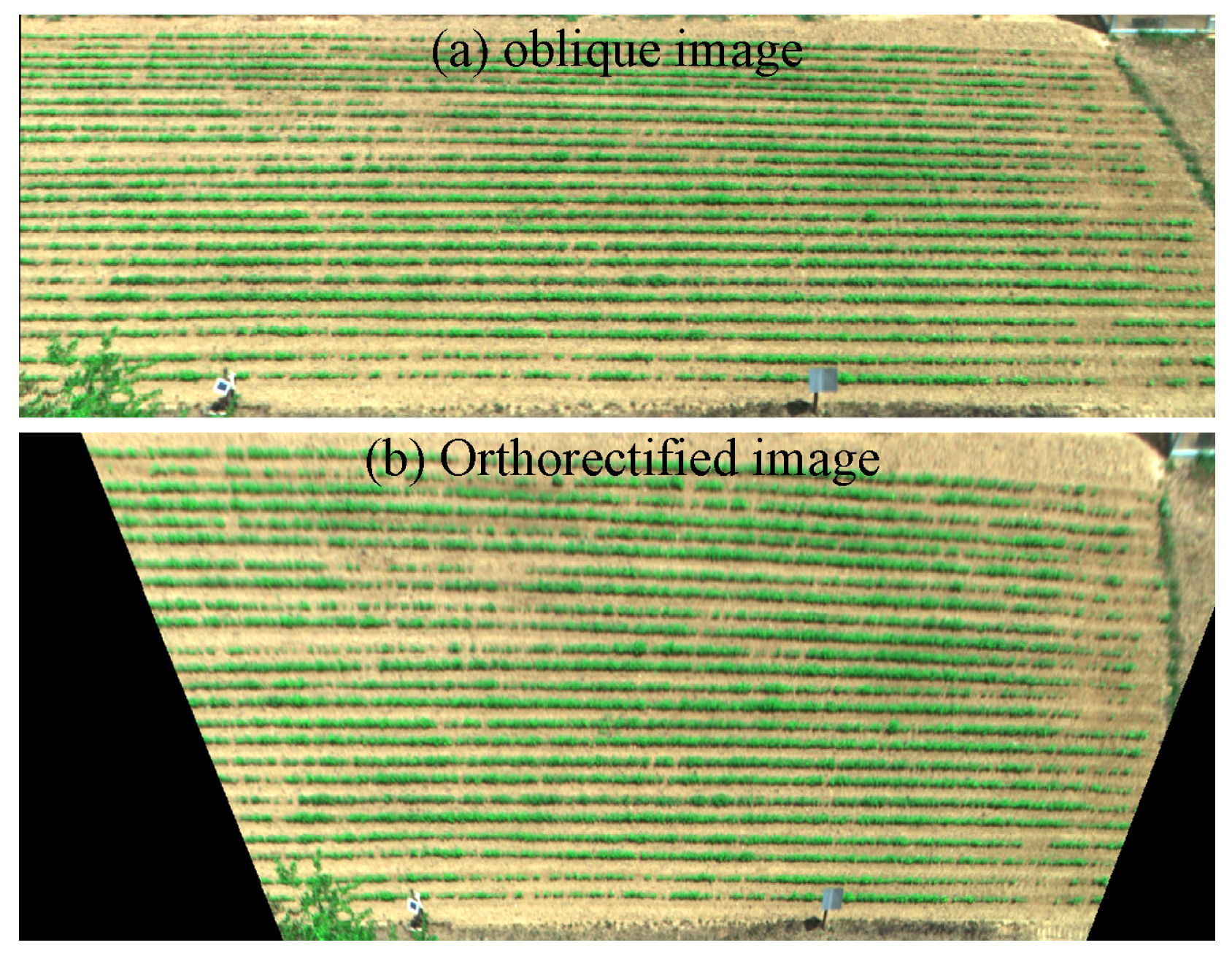 Remotesensing 17 02736 g003