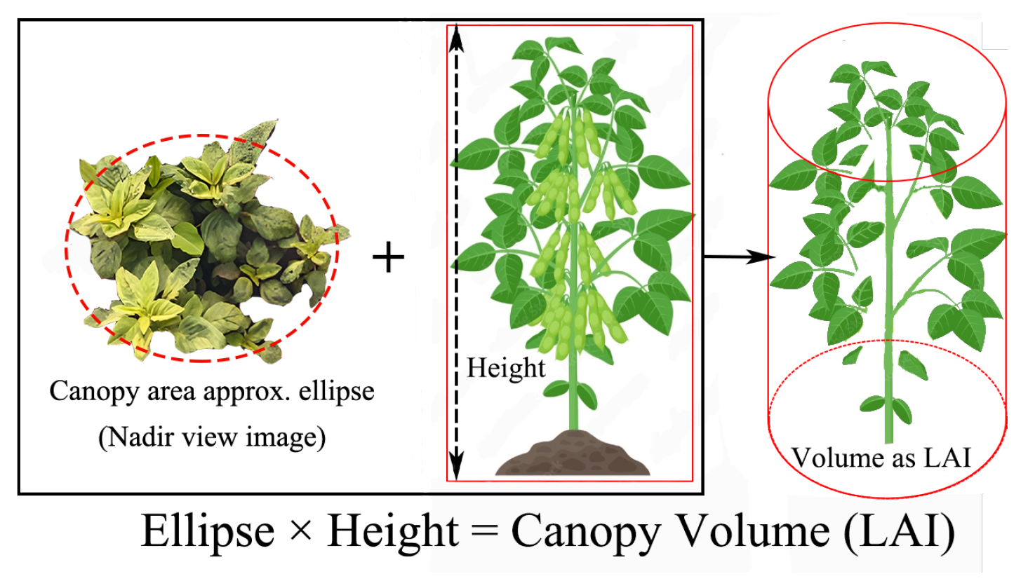 Remotesensing 17 02736 g006
