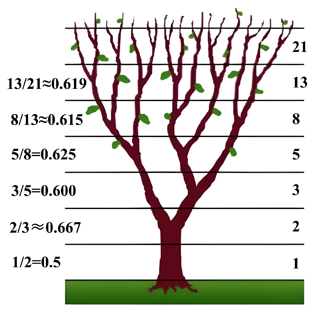 Remotesensing 17 02736 g007