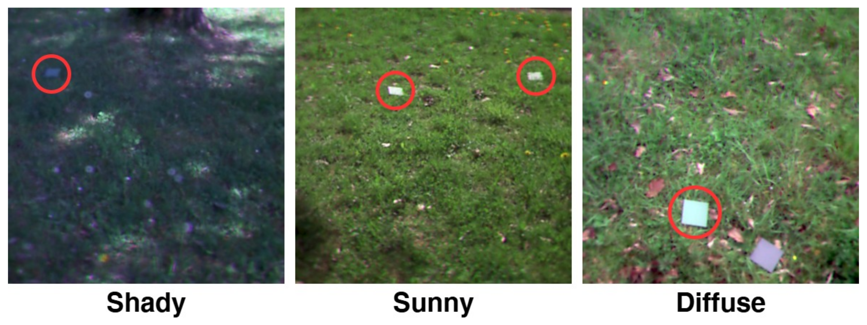 Remotesensing 17 02756 g003 Remotesensing 17 02756 g003