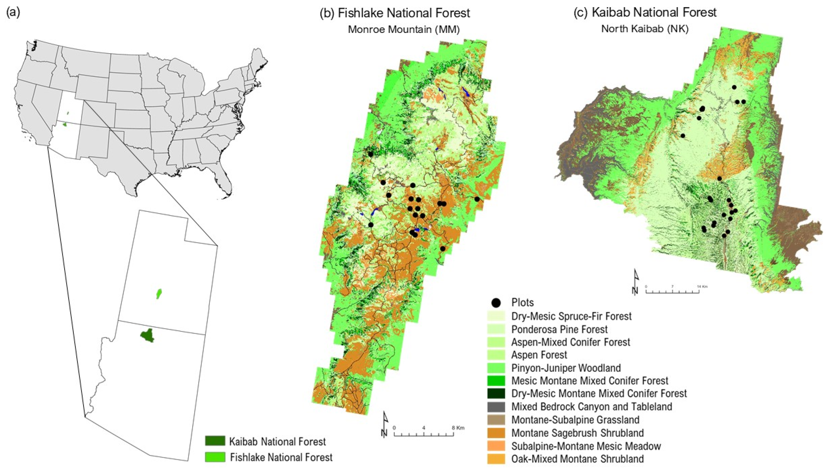 Remotesensing 17 02757 g001