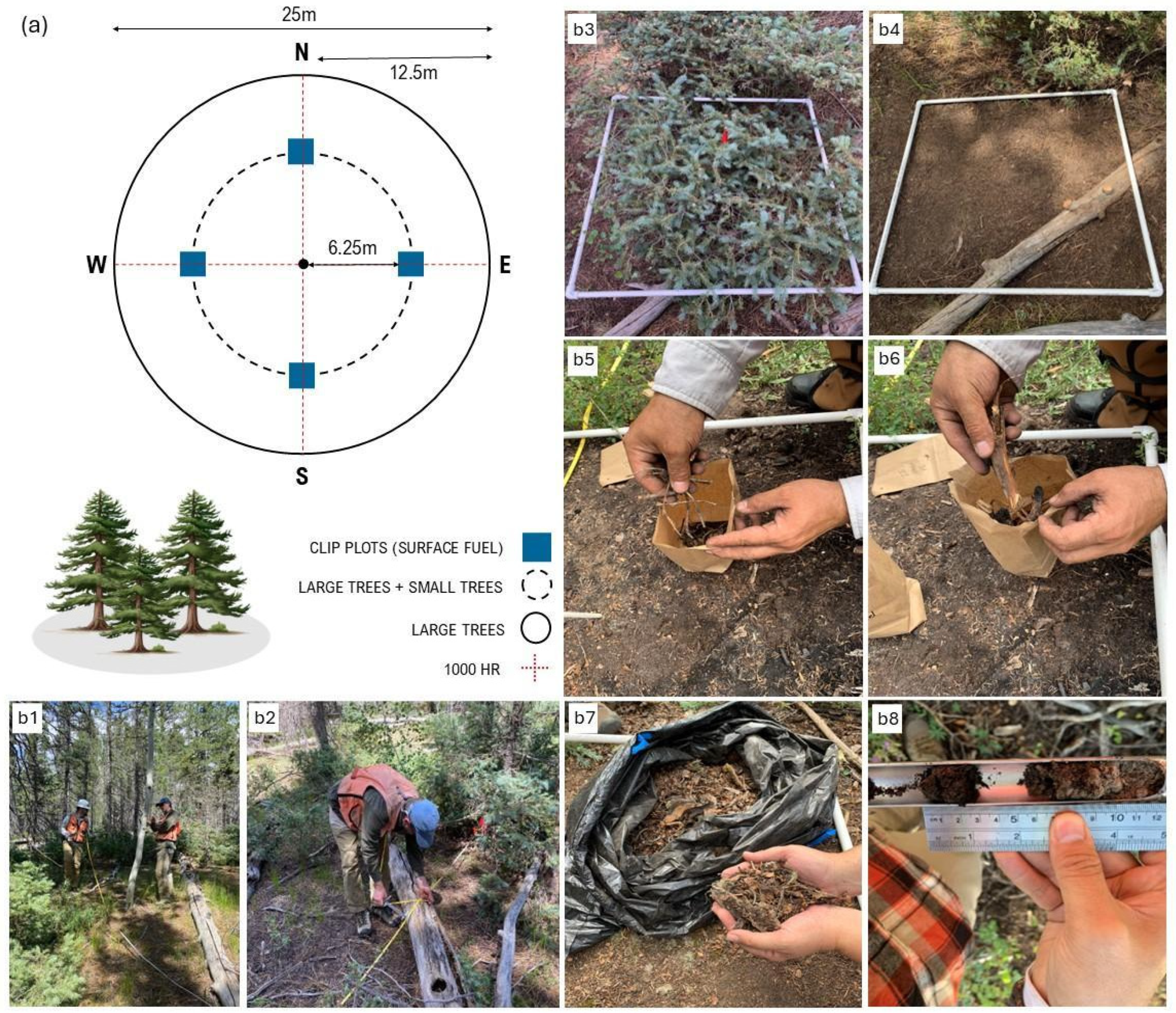 Remotesensing 17 02757 g002