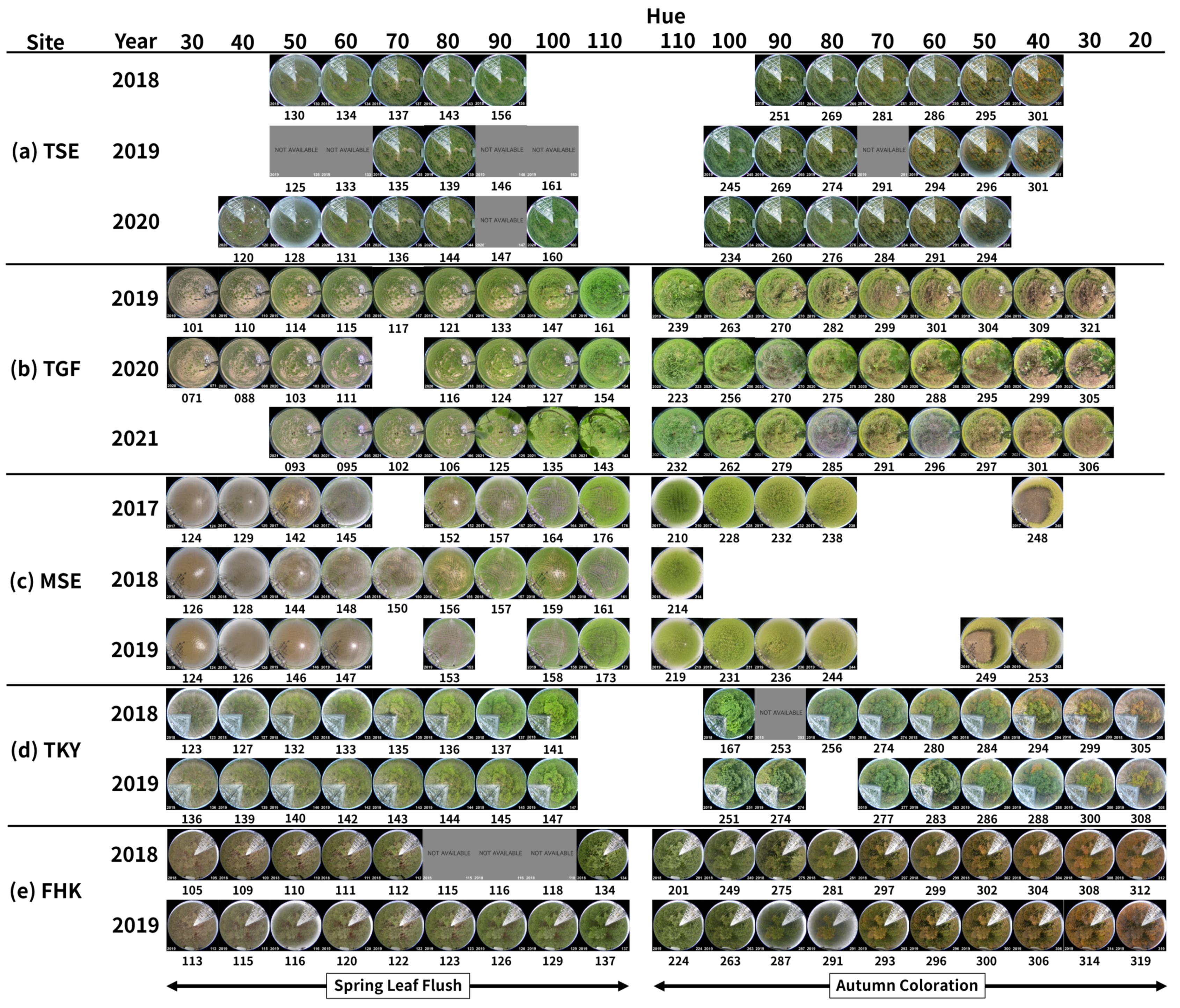 Remotesensing 17 02767 g017 Remotesensing 17 02767 g017