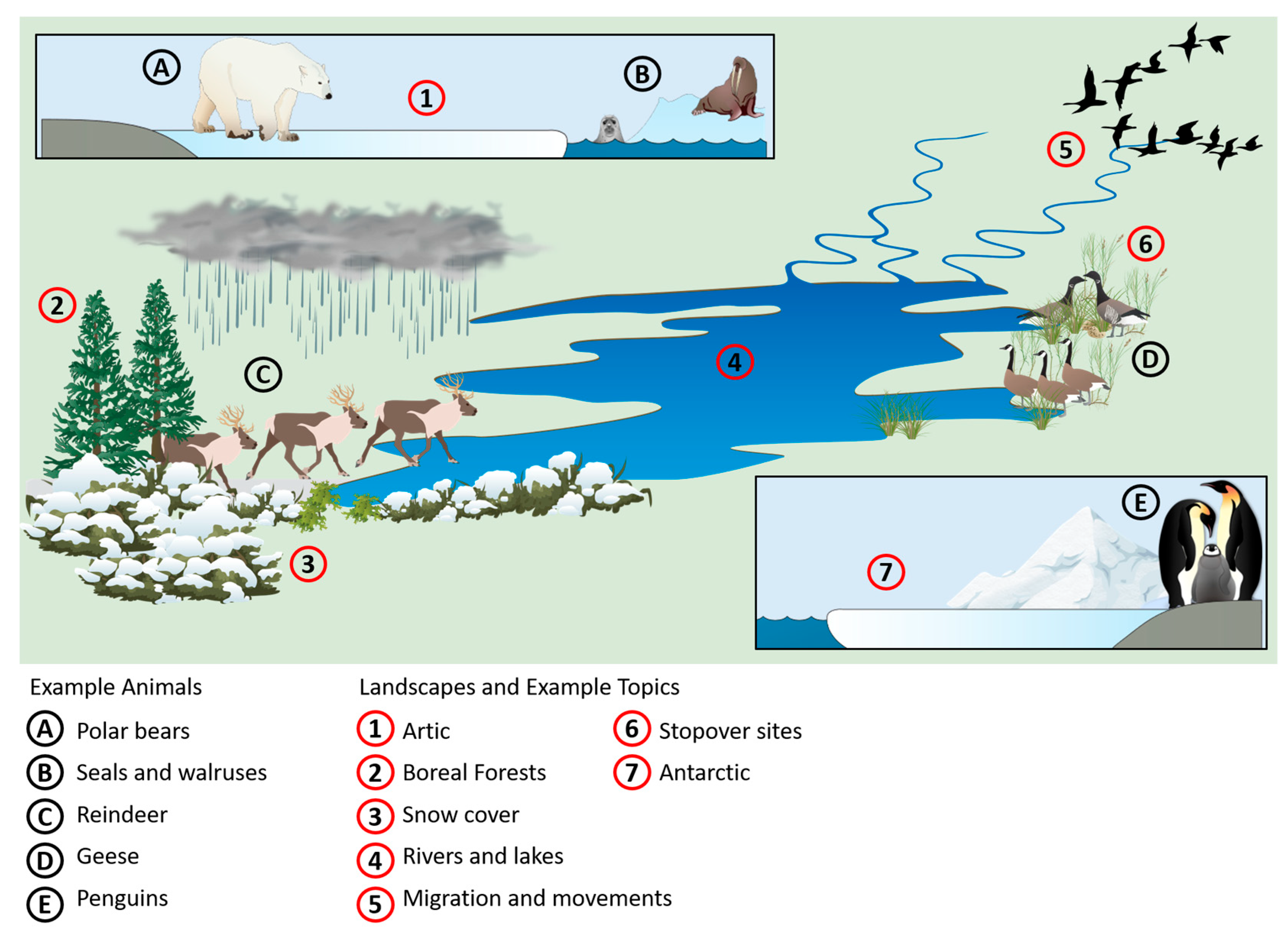 Remotesensing 17 02780 g001