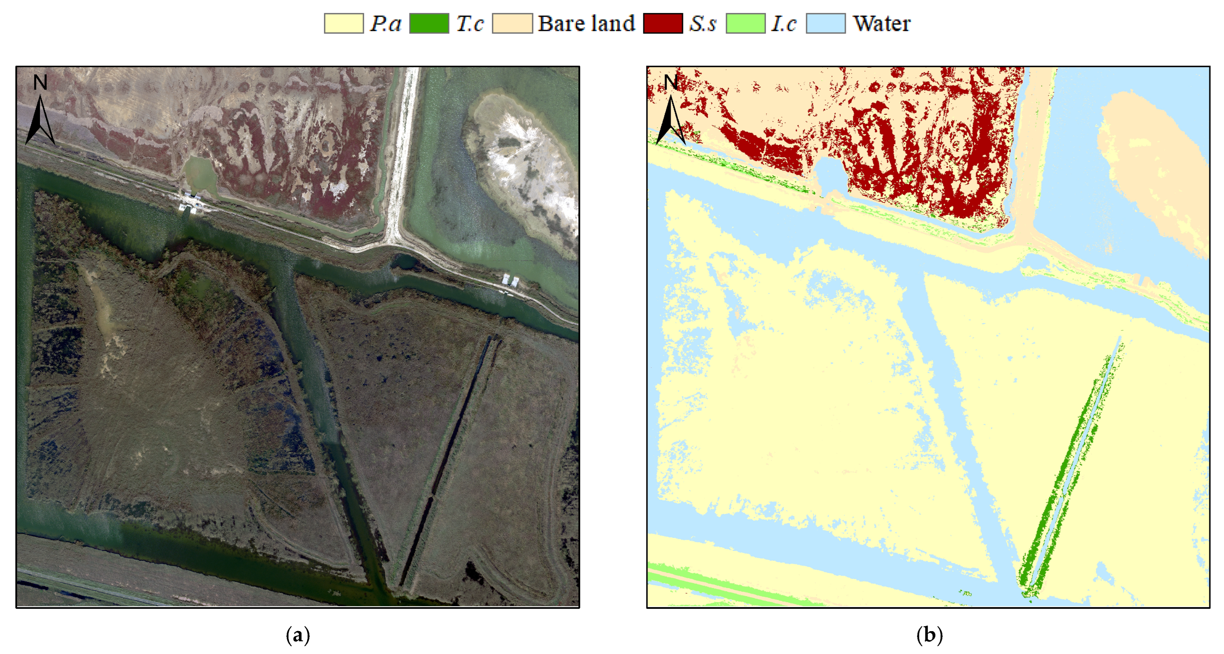 Remotesensing 17 02848 g008a Remotesensing 17 02848 g008a