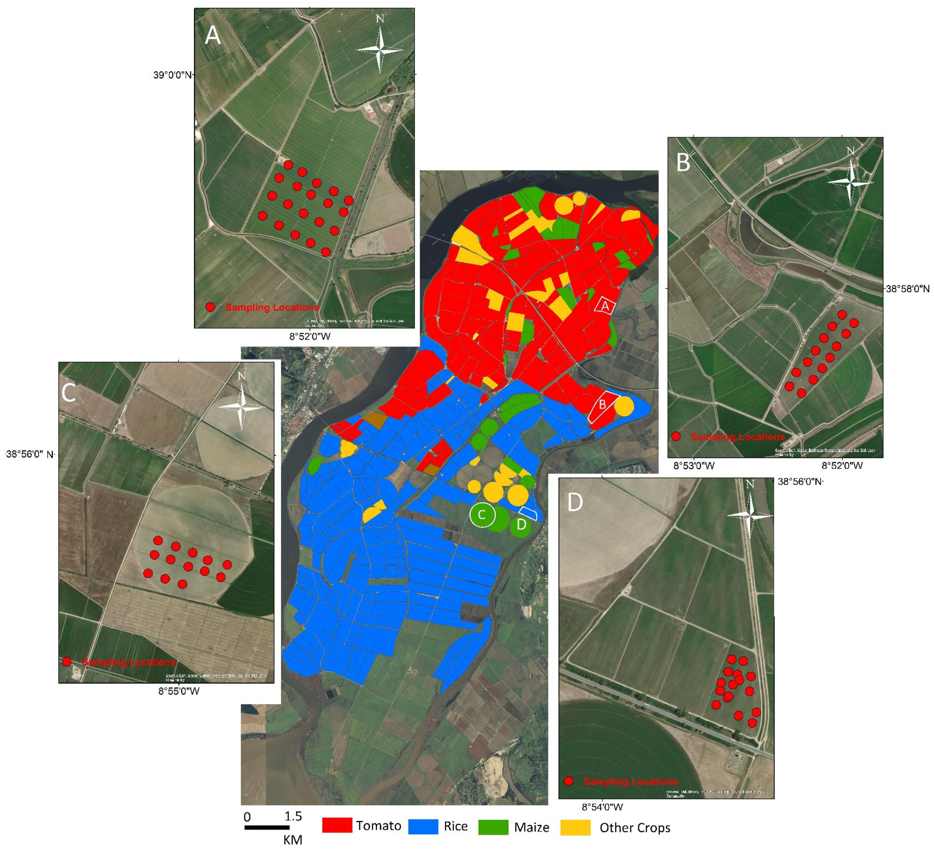 Remotesensing 17 02877 g002