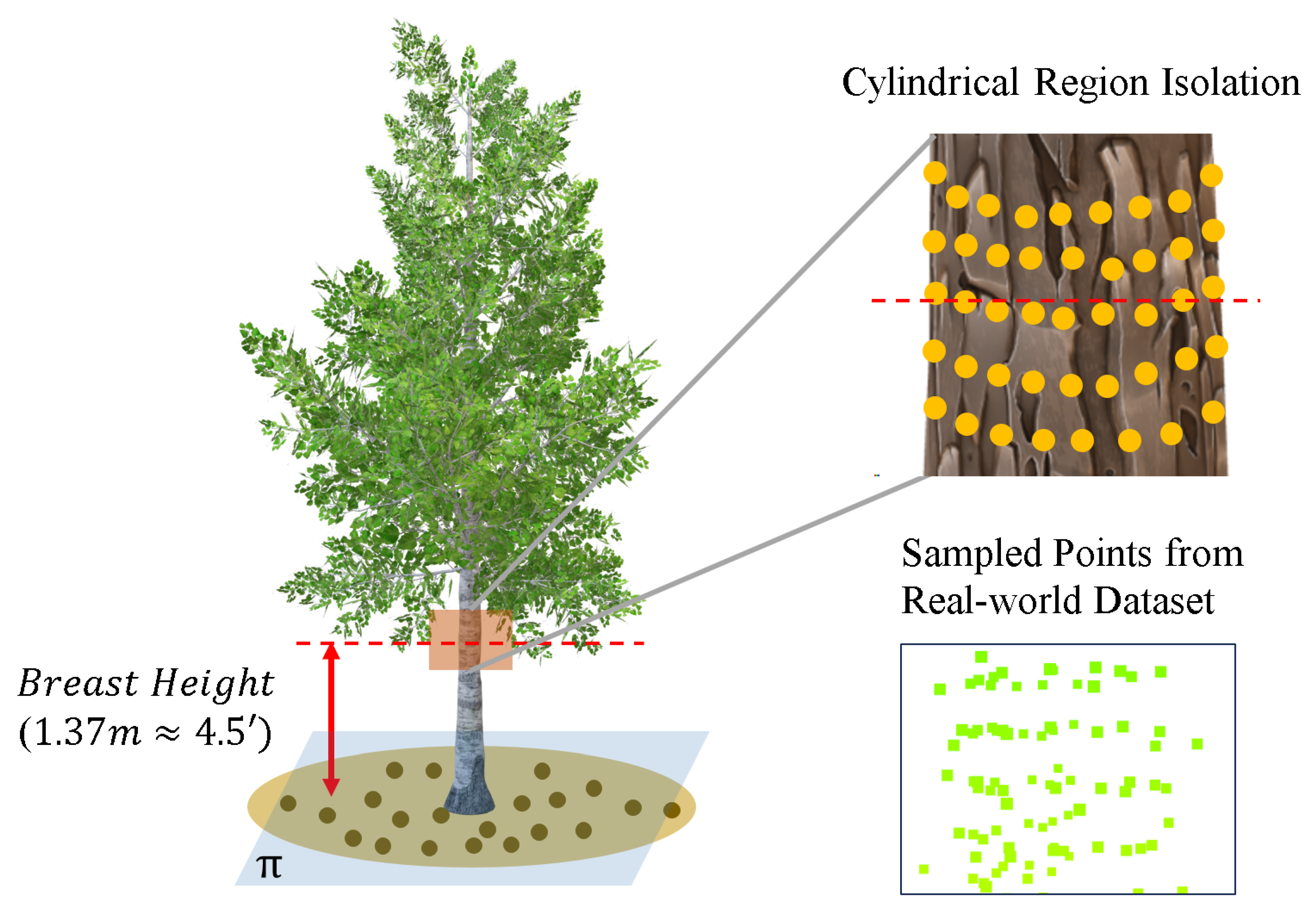 Remotesensing 17 02880 g006