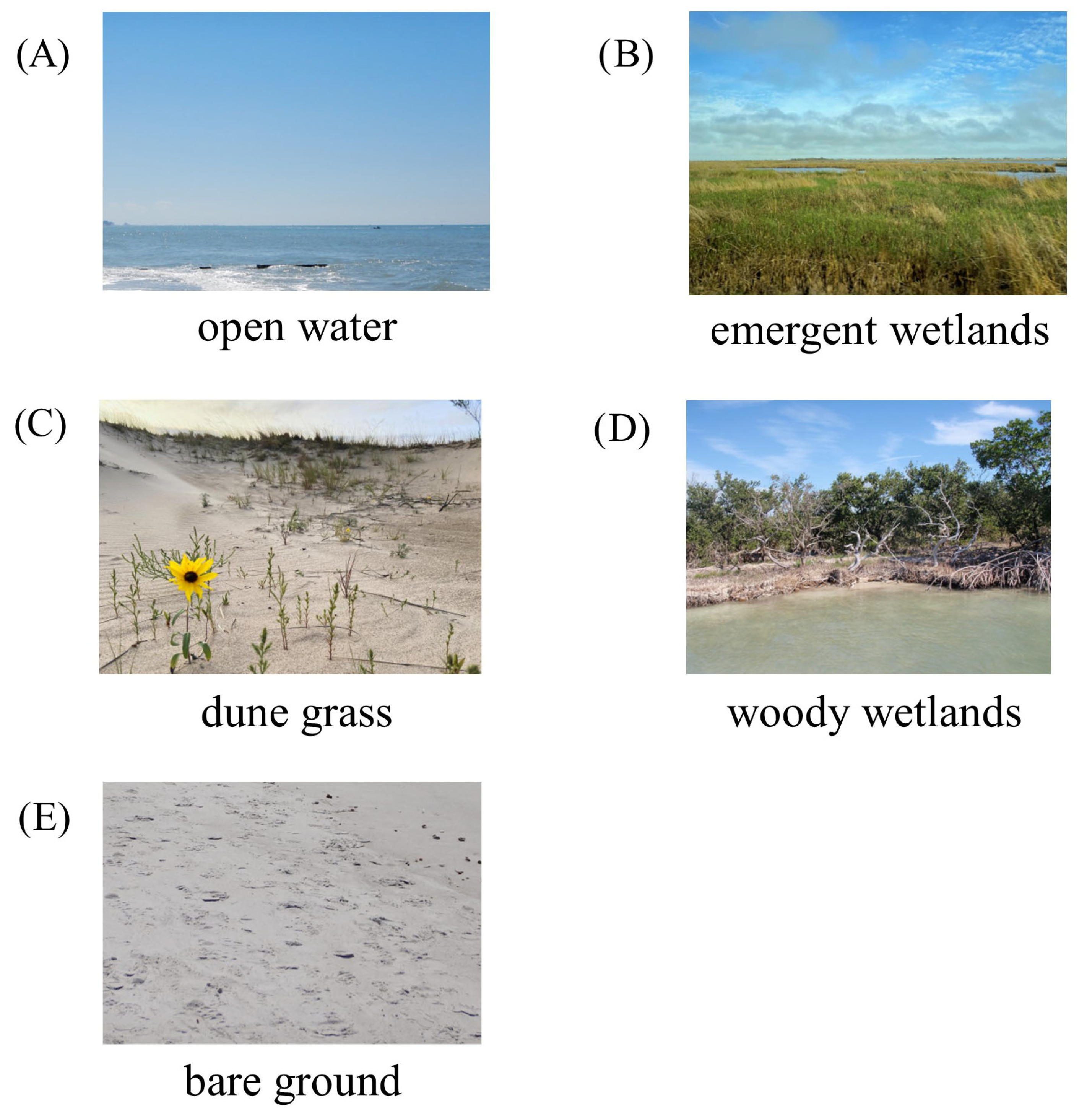 Remotesensing 17 03165 g003 Remotesensing 17 03165 g003