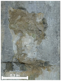 Remotesensing 17 03173 i016 Remotesensing 17 03173 i016