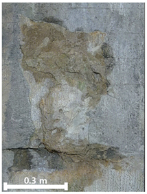 Remotesensing 17 03173 i017 Remotesensing 17 03173 i017