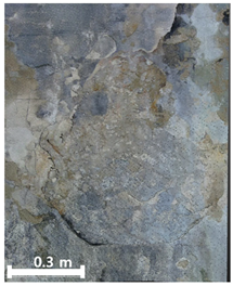 Remotesensing 17 03173 i029 Remotesensing 17 03173 i029