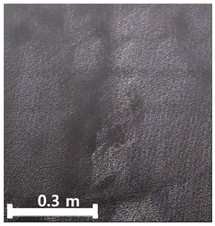 Remotesensing 17 03173 i036 Remotesensing 17 03173 i036