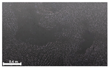 Remotesensing 17 03173 i045 Remotesensing 17 03173 i045