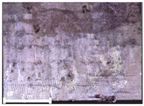 Remotesensing 17 03173 i099 Remotesensing 17 03173 i099