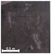 Remotesensing 17 03173 i123 Remotesensing 17 03173 i123