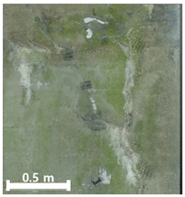 Remotesensing 17 03173 i125 Remotesensing 17 03173 i125