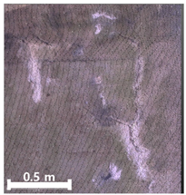 Remotesensing 17 03173 i126 Remotesensing 17 03173 i126