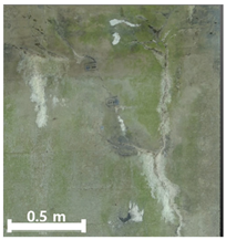 Remotesensing 17 03173 i127 Remotesensing 17 03173 i127