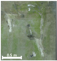 Remotesensing 17 03173 i131 Remotesensing 17 03173 i131