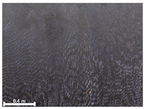 Remotesensing 17 03173 i141 Remotesensing 17 03173 i141