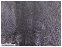 Remotesensing 17 03173 i144 Remotesensing 17 03173 i144