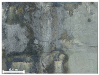 Remotesensing 17 03173 i148 Remotesensing 17 03173 i148