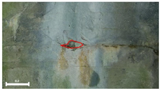 Remotesensing 17 03173 i152 Remotesensing 17 03173 i152