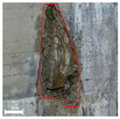 Remotesensing 17 03173 i168 Remotesensing 17 03173 i168